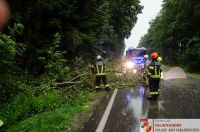 _2024-07-10 Baum über B141 Pramwald-0005